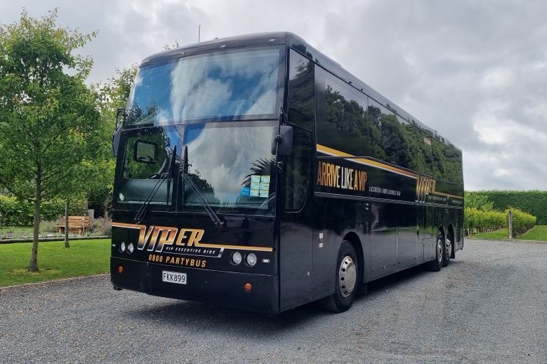 Party Bus - Viper Lounge Coach - caorsel3
