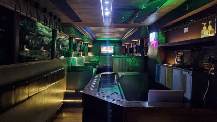 Party Bus - BYO Main